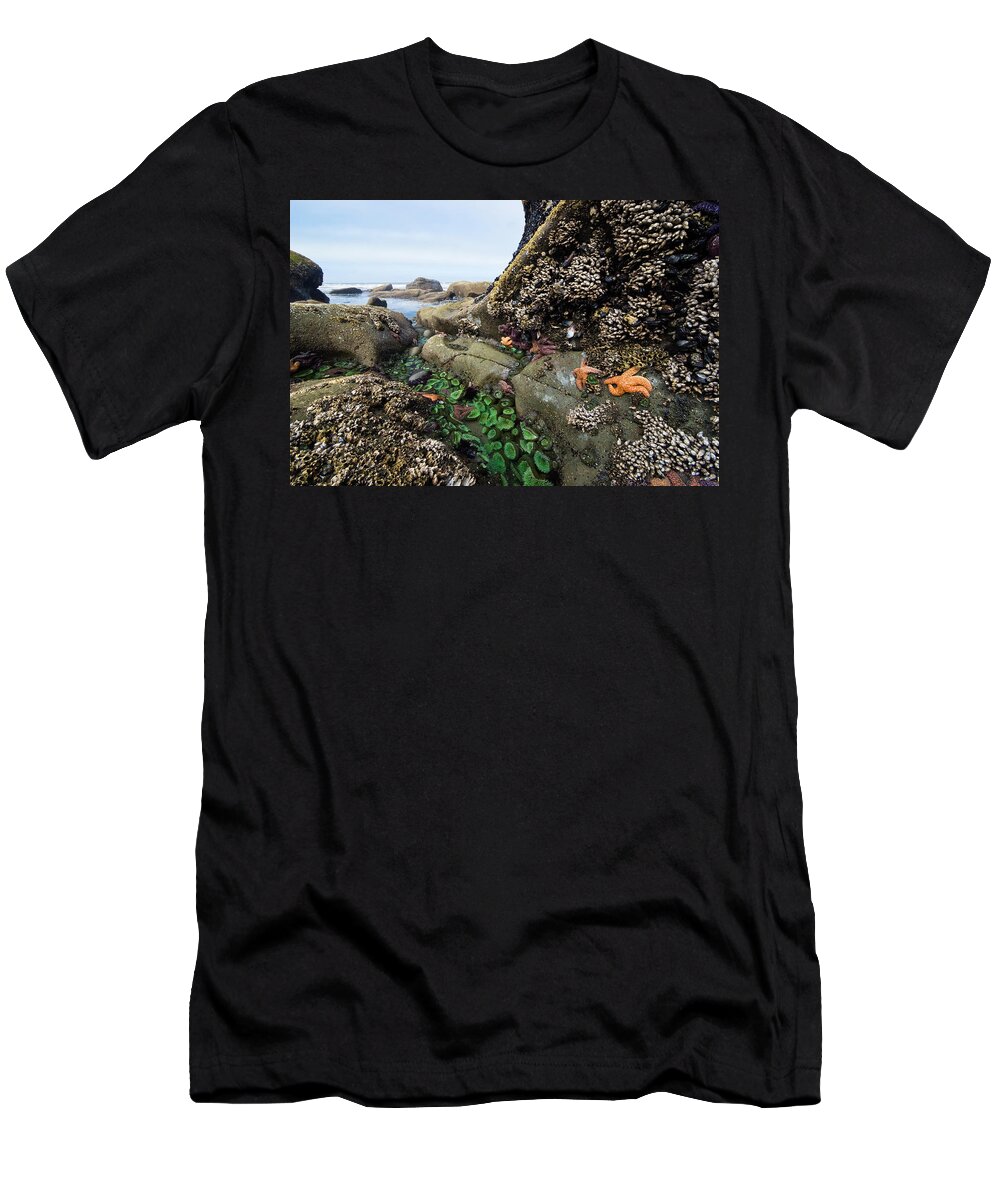 Mp T-Shirt featuring the photograph Giant Green Sea Anemone Anthopleura by Konrad Wothe