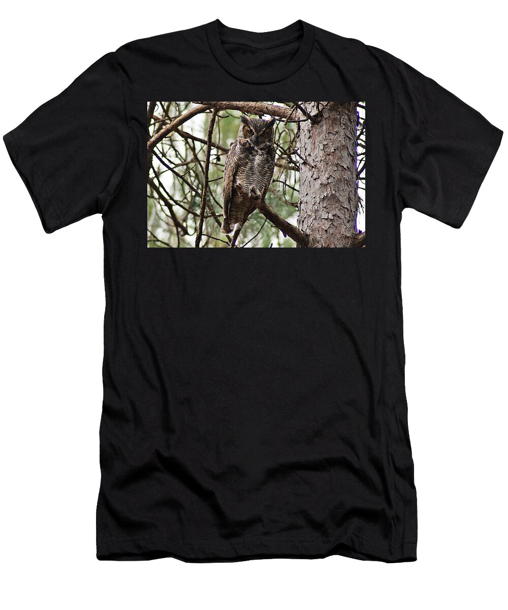Great Horned T-Shirt featuring the photograph Great Horned Owl IV by Joe Faherty