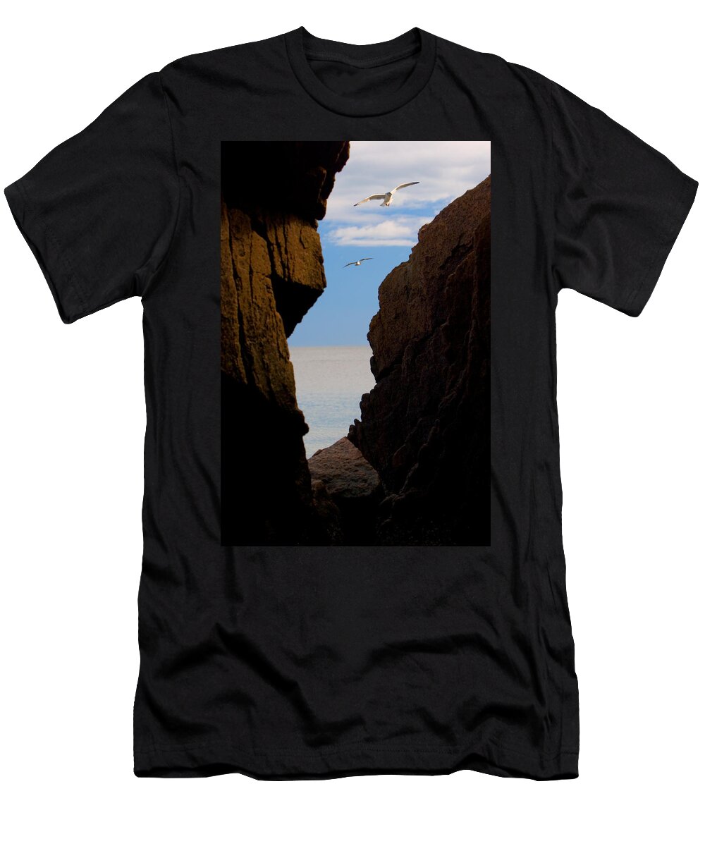 Seagull T-Shirt featuring the photograph Gulls of Acadia by Brent L Ander