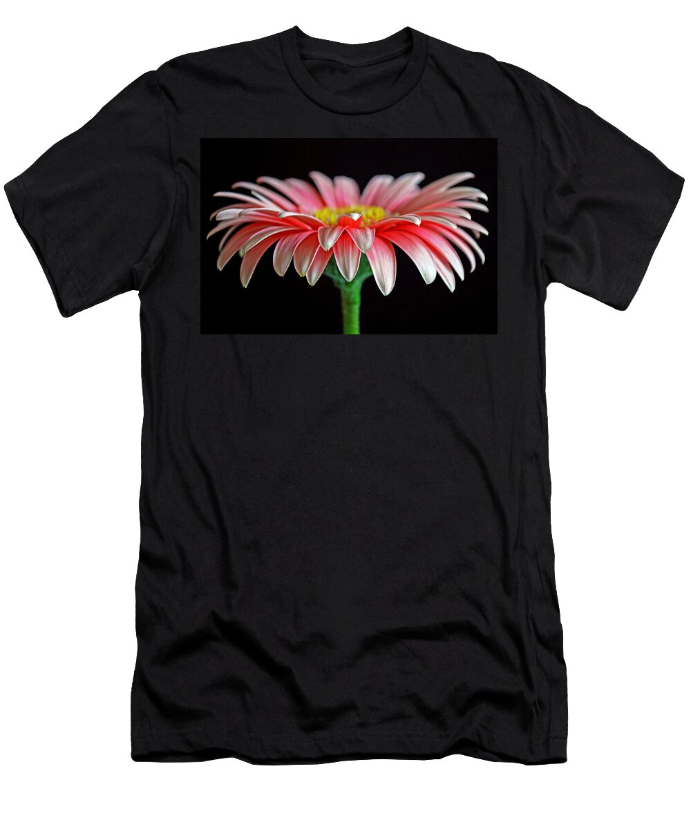 Gerber Daisy T-Shirt featuring the photograph He Loves Me...He Love Me Not by Melanie Moraga
