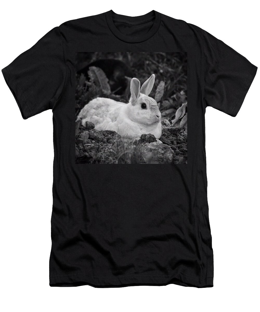 Tagstagram T-Shirt featuring the photograph Holly Bunny - Just Chillin' by Silva Halo