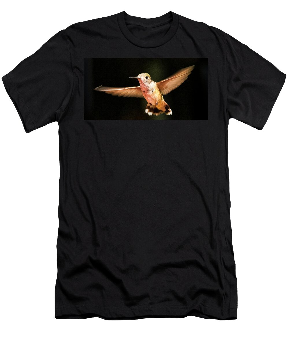 Wildlife T-Shirt featuring the photograph Hummingbird by Albert Seger