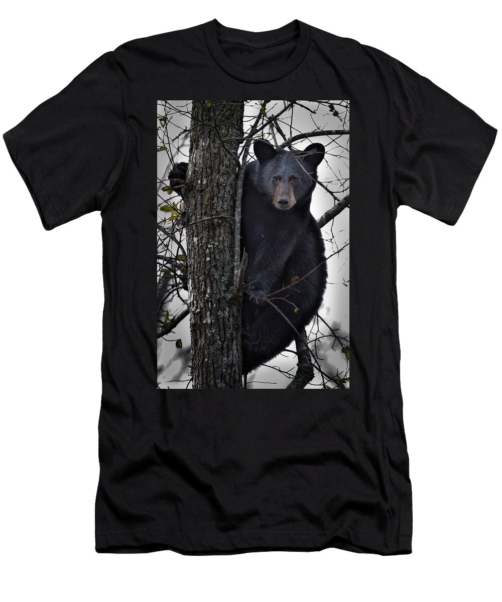 Bear T-Shirt featuring the photograph Hunting Berries by Ronald Lutz