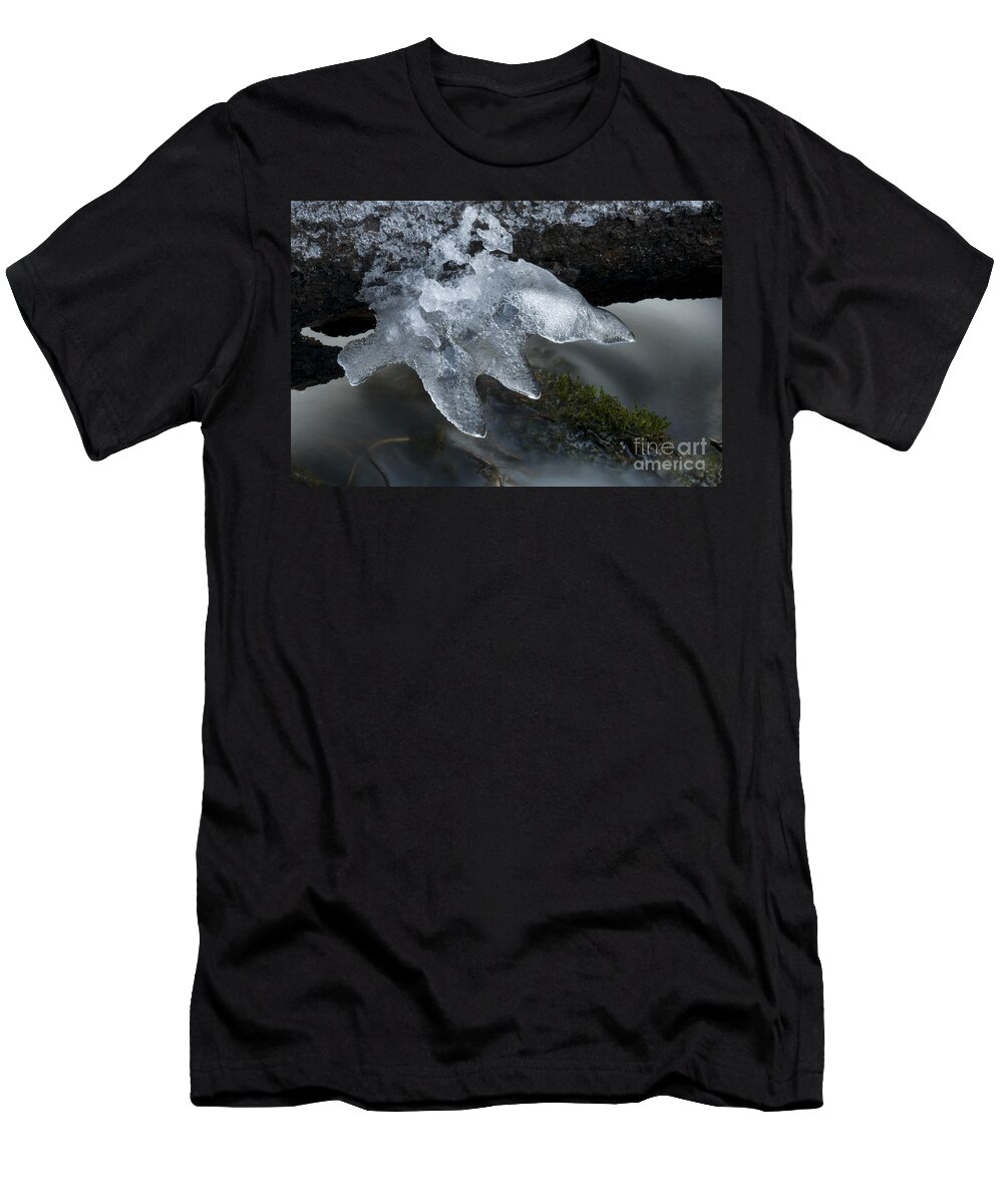 Ice T-Shirt featuring the photograph Ice Claw by Bob Christopher