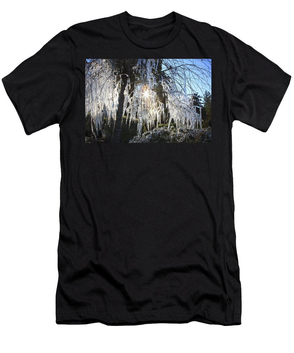 Icicle T-Shirt featuring the photograph Icicles Hanging From Tree Branches by Craig Tuttle