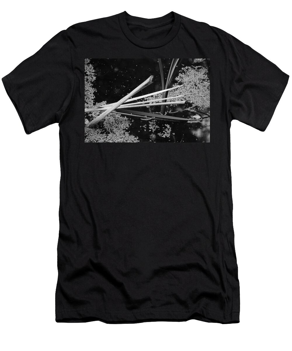 Water T-Shirt featuring the photograph In the Pond Asian influence by Kathleen Grace
