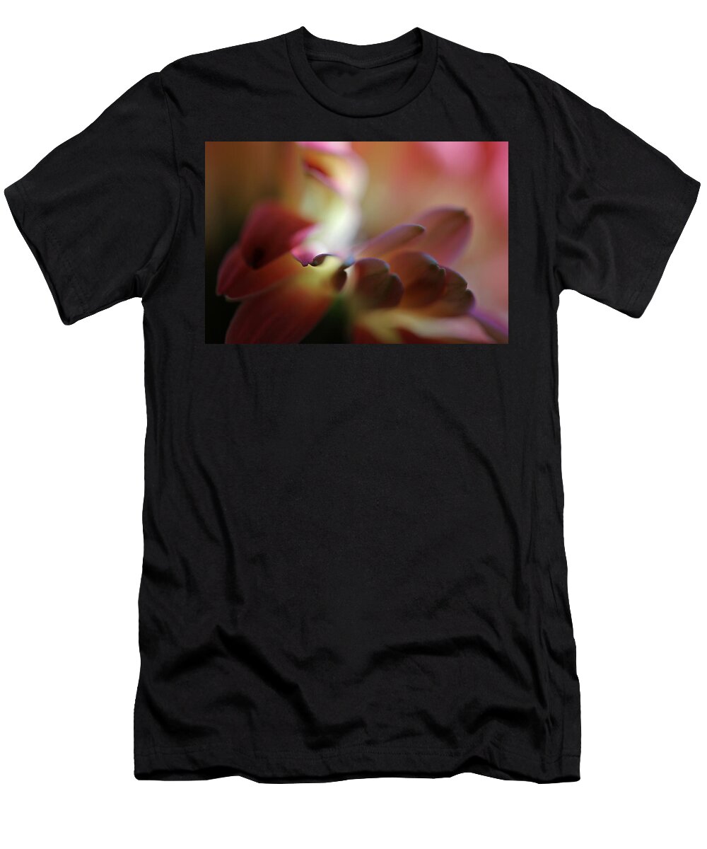 Abstract T-Shirt featuring the photograph Inner Balance by Juergen Roth