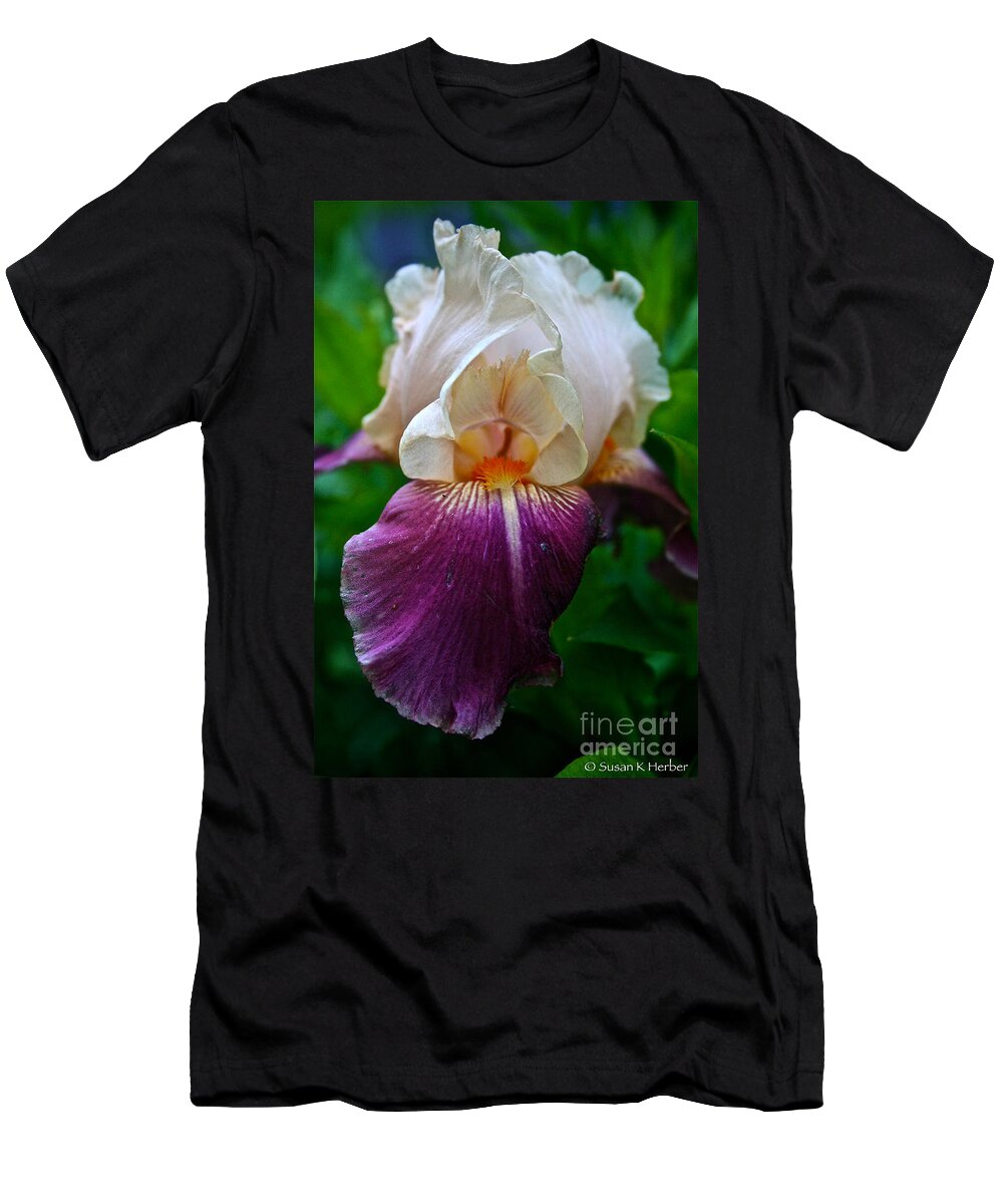Plant T-Shirt featuring the photograph Iris Finery by Susan Herber