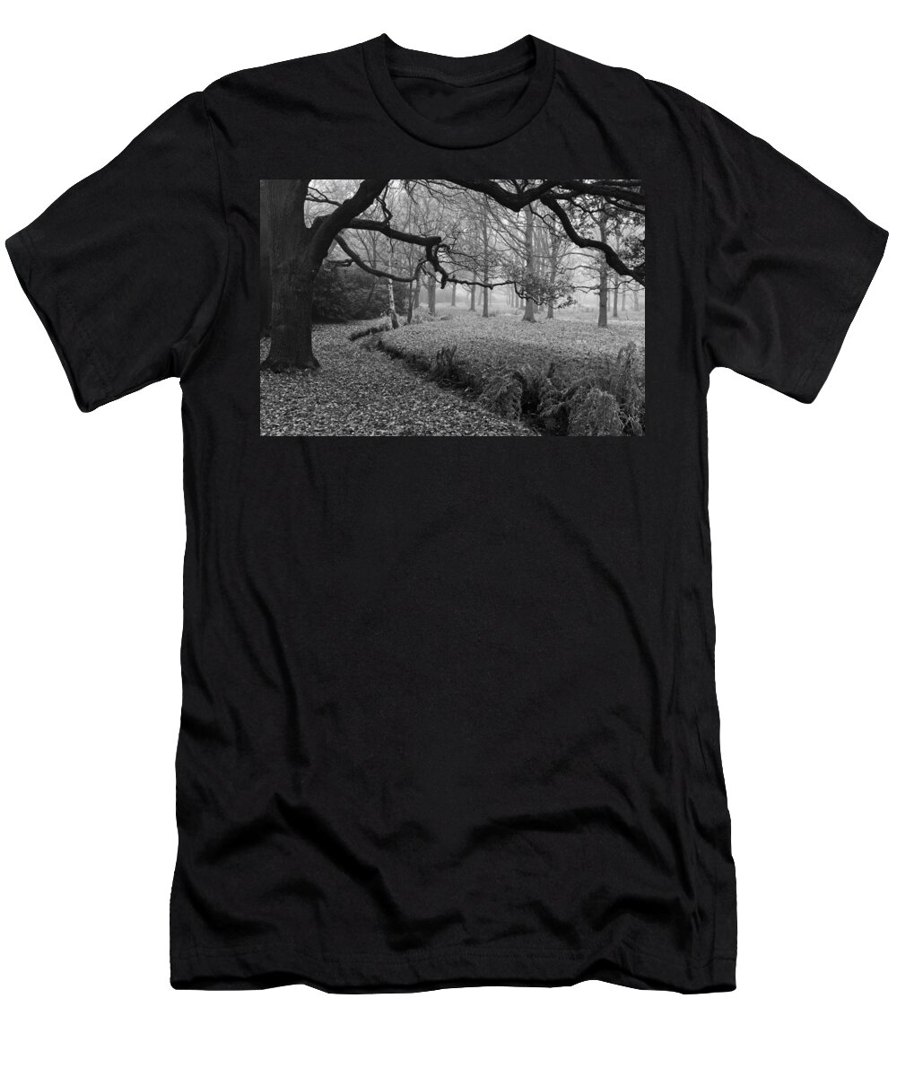 Isabella Plantation T-Shirt featuring the photograph Isabella Plantation by Maj Seda