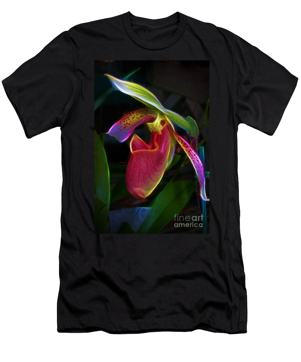 Paphipedelium T-Shirt featuring the photograph Lady's Slipper by Judi Bagwell