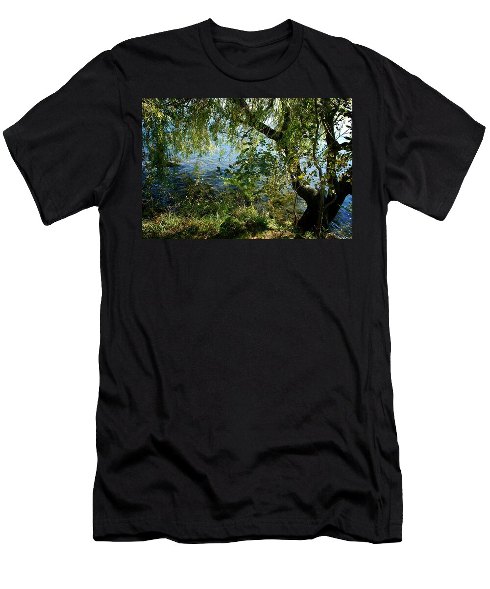 Lake T-Shirt featuring the photograph Lakeside Tree by Kathleen Grace