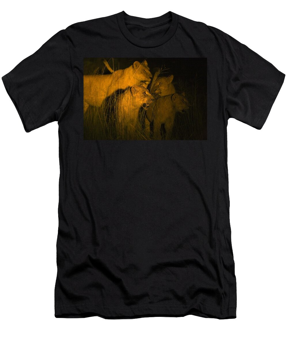 African T-Shirt featuring the photograph Lions At Night by Carson Ganci