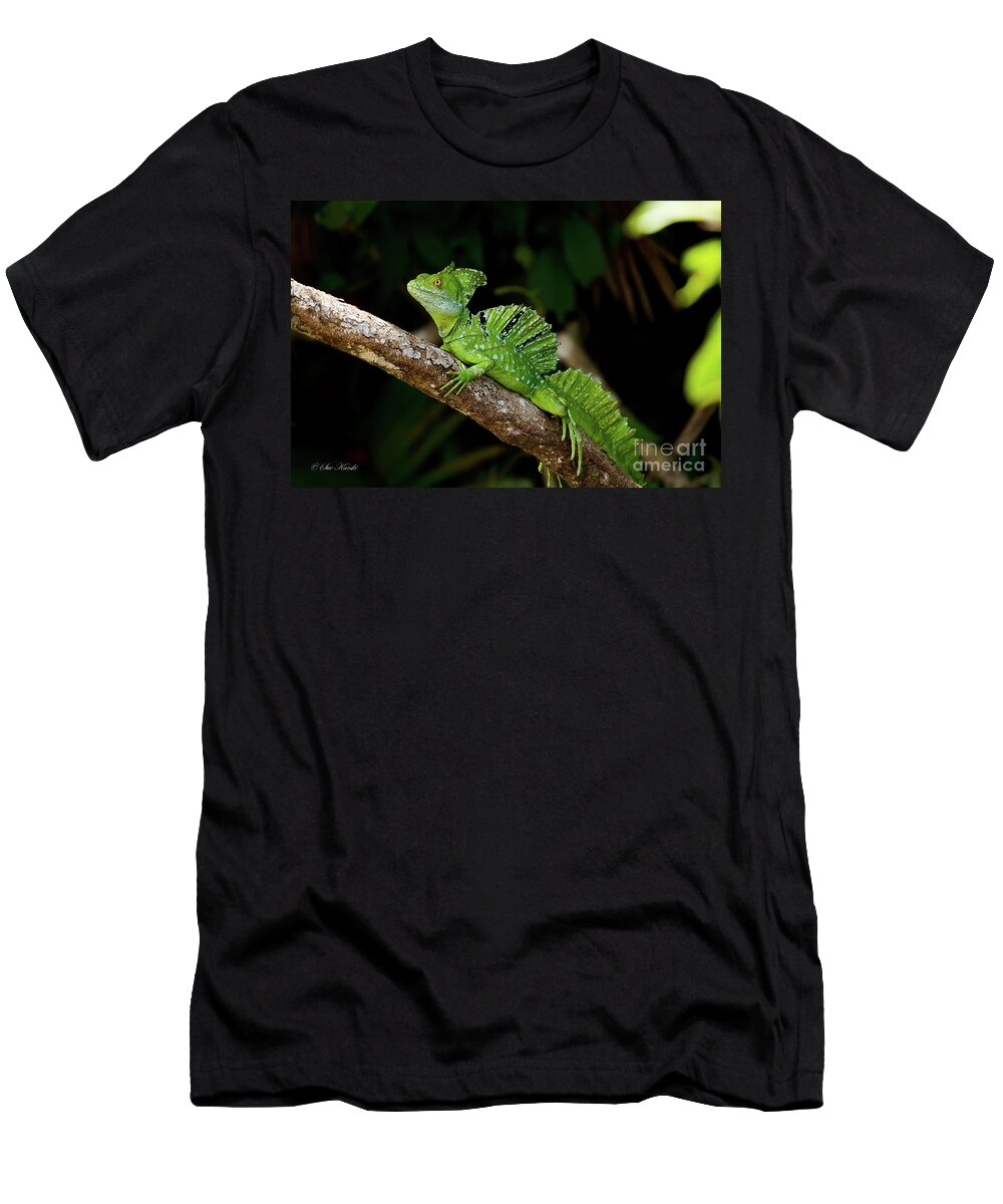 Costa Rica T-Shirt featuring the photograph Lizard on a Stick by Sue Karski