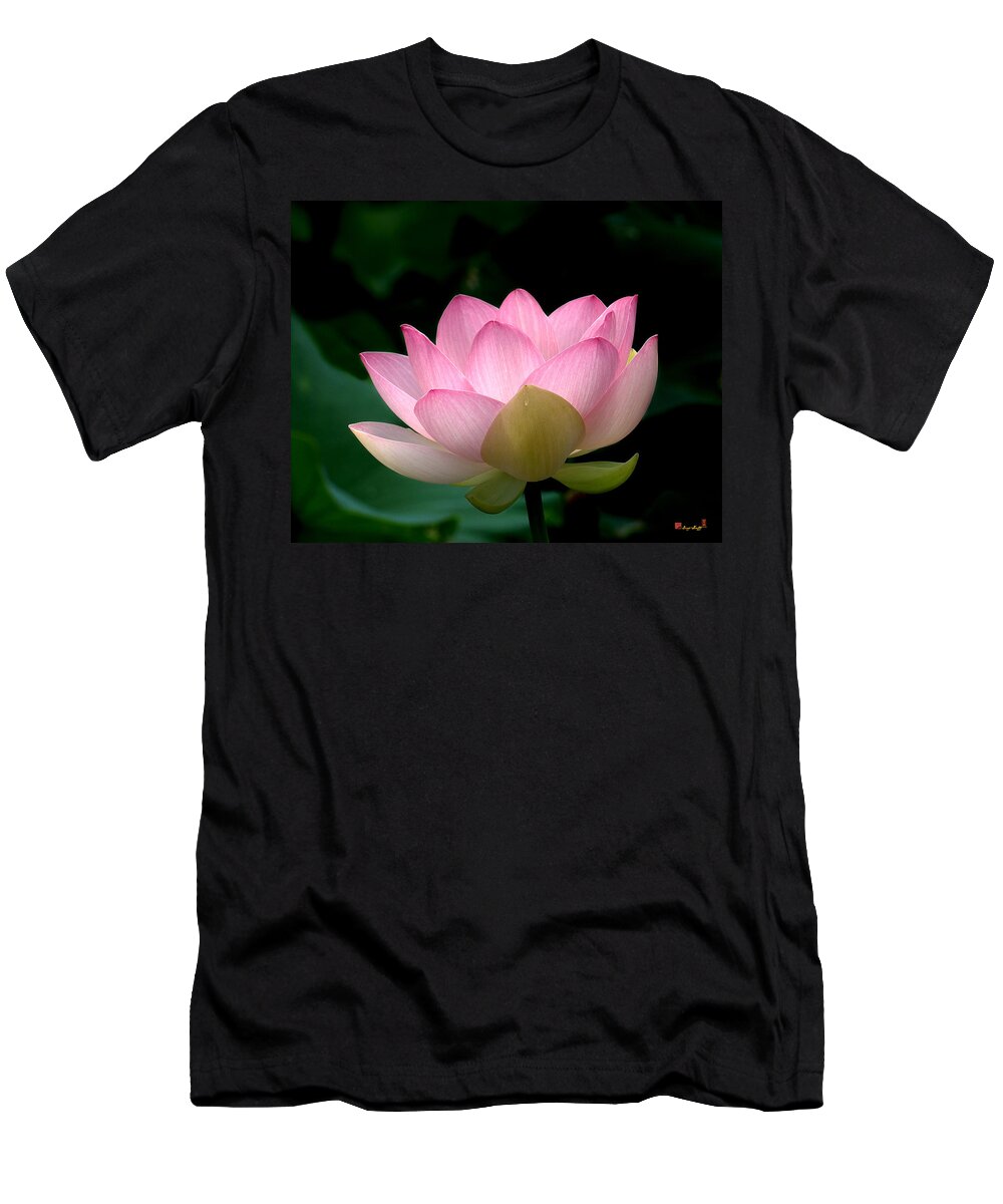 Nature T-Shirt featuring the photograph Lotus Beauty--Blushing DL003 by Gerry Gantt