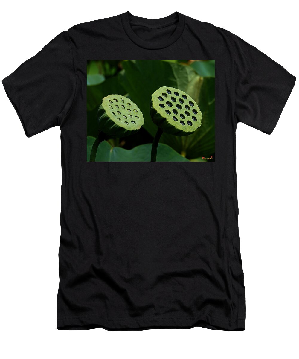 Nature T-Shirt featuring the photograph Lotus Capsules-Sun Worshipers DL052 by Gerry Gantt