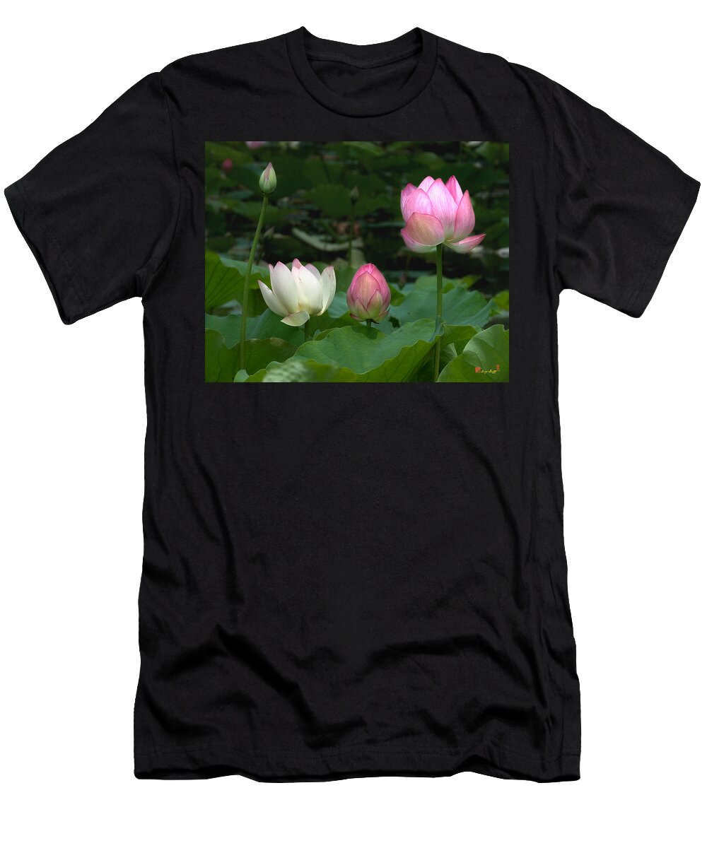 Nature T-Shirt featuring the photograph Lotus--Stages of Life ii DL024 by Gerry Gantt