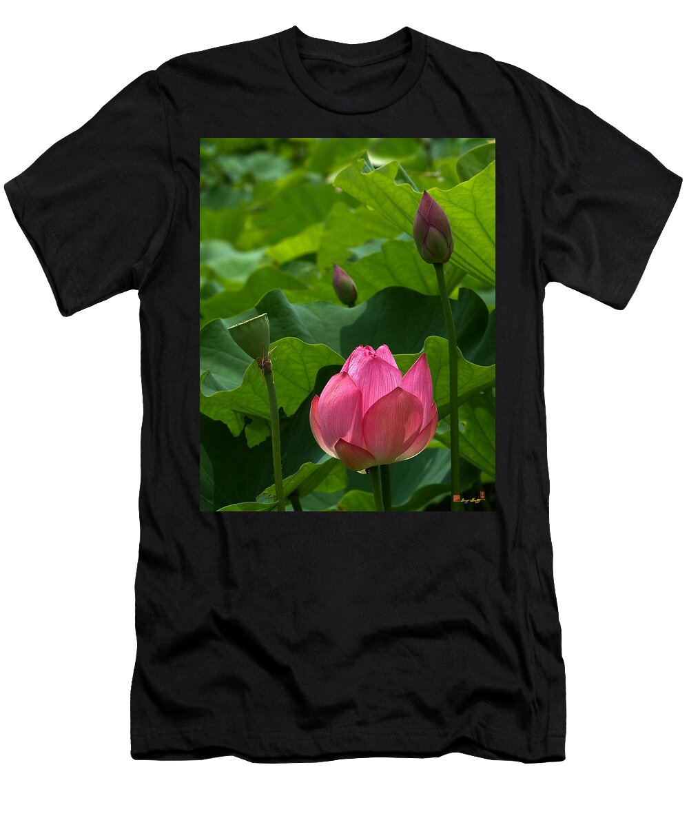 Nature T-Shirt featuring the photograph Lotus--Stages of Life iii DL017 by Gerry Gantt