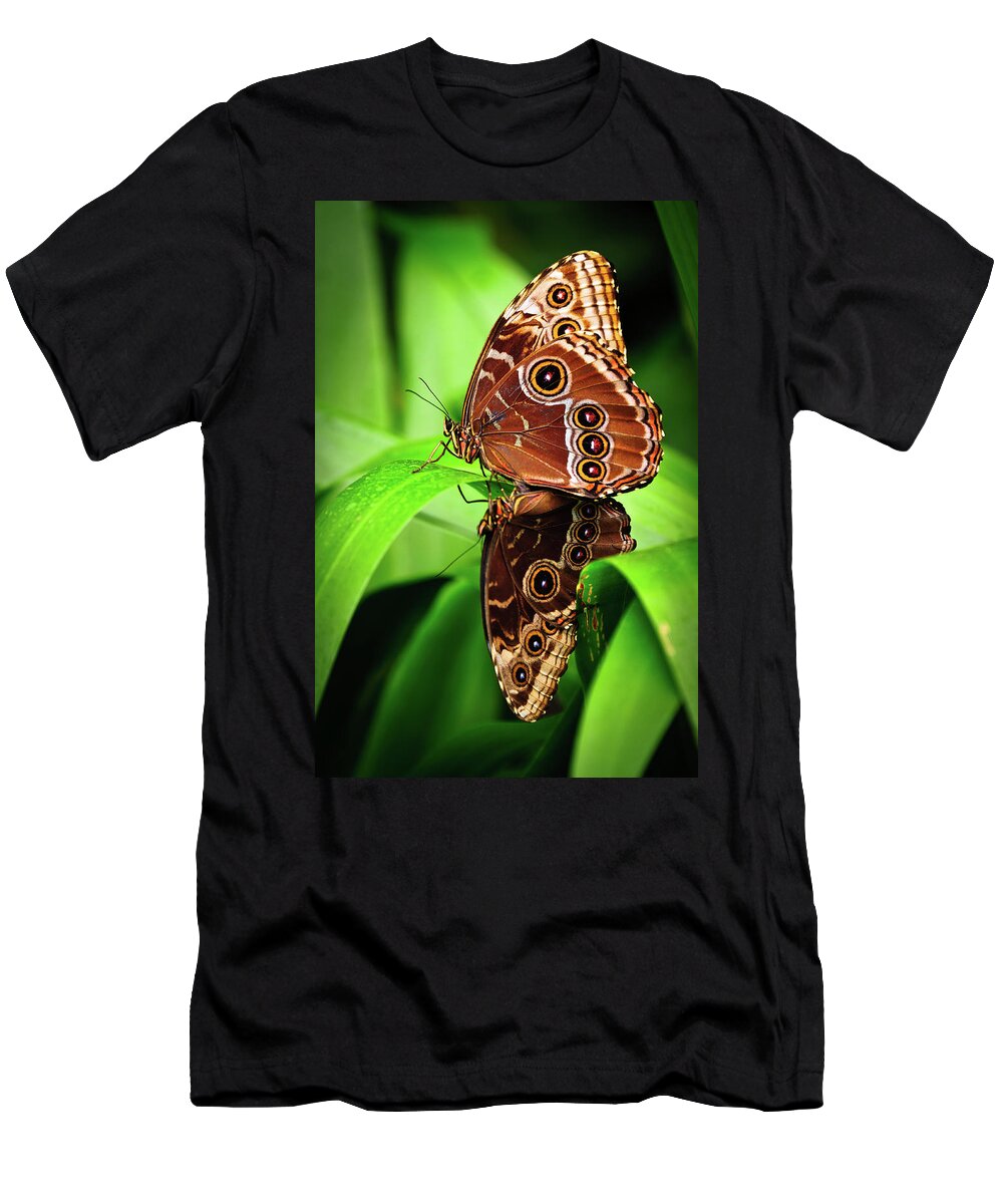 Butterfly T-Shirt featuring the photograph Mating Butterflies by Harry Spitz