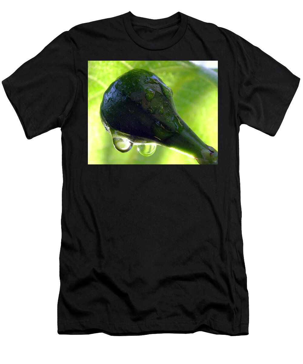 Figs T-Shirt featuring the photograph Morning Dew Figs by Karen Wiles