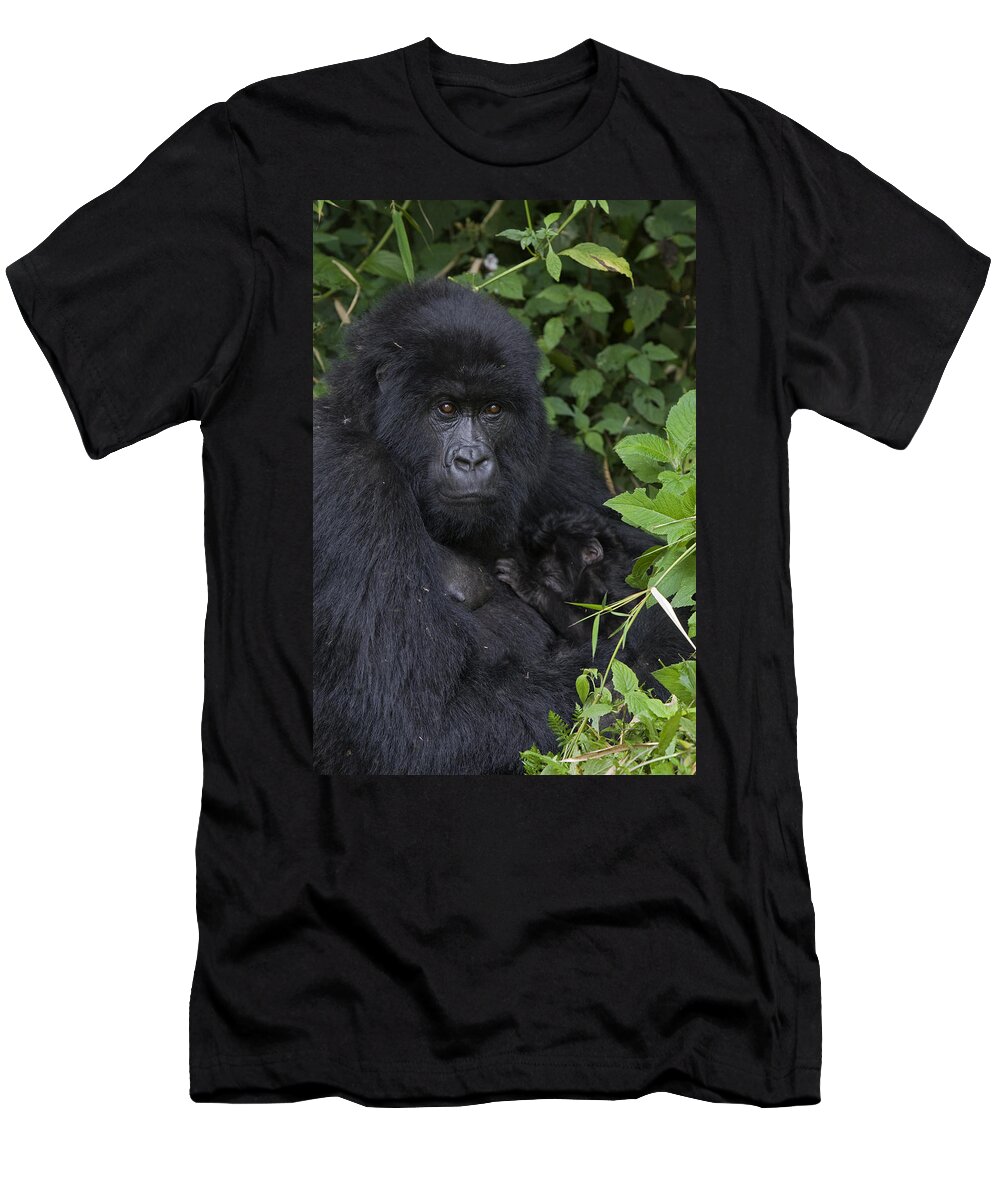 00427965 T-Shirt featuring the photograph Mountain Gorilla Mother And Infant Parc by Suzi Eszterhas