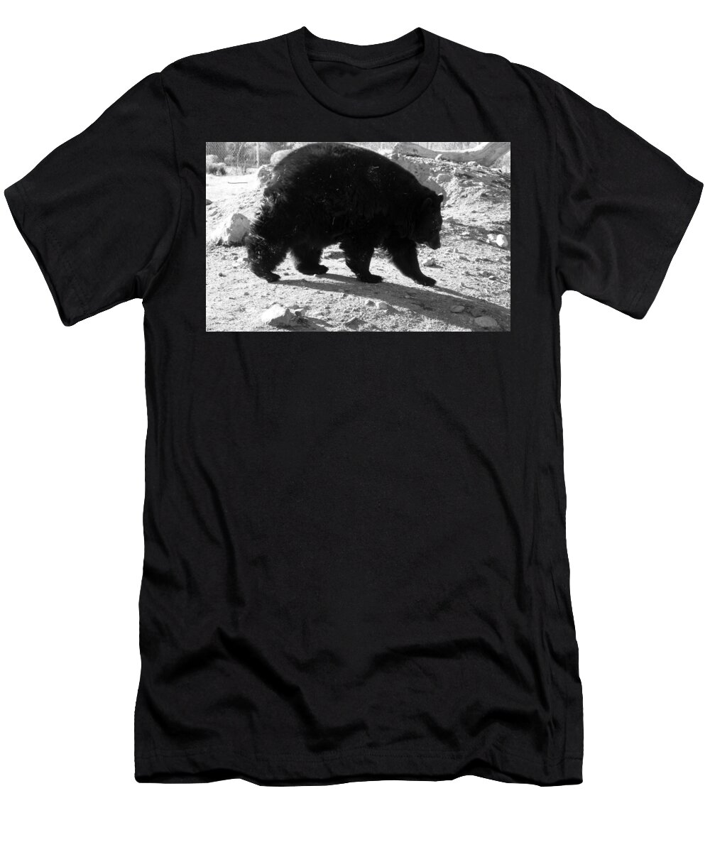 Black T-Shirt featuring the photograph Mrs Black Bear by Kim Galluzzo Wozniak