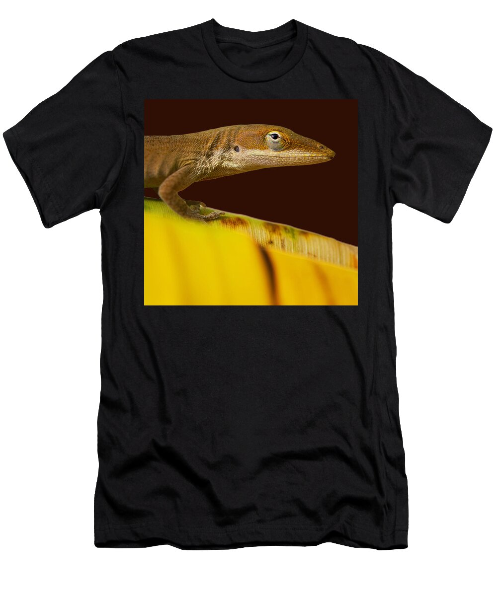 Chameleon T-Shirt featuring the photograph Mystic Eye by Stephen Anderson