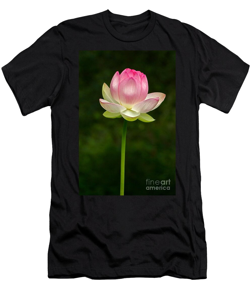 Lotus T-Shirt featuring the photograph No Less Magical by Byron Varvarigos