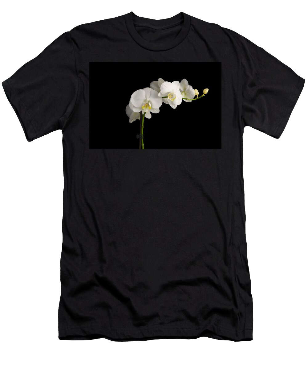 Orchid T-Shirt featuring the photograph Orchid on black by Nick Field