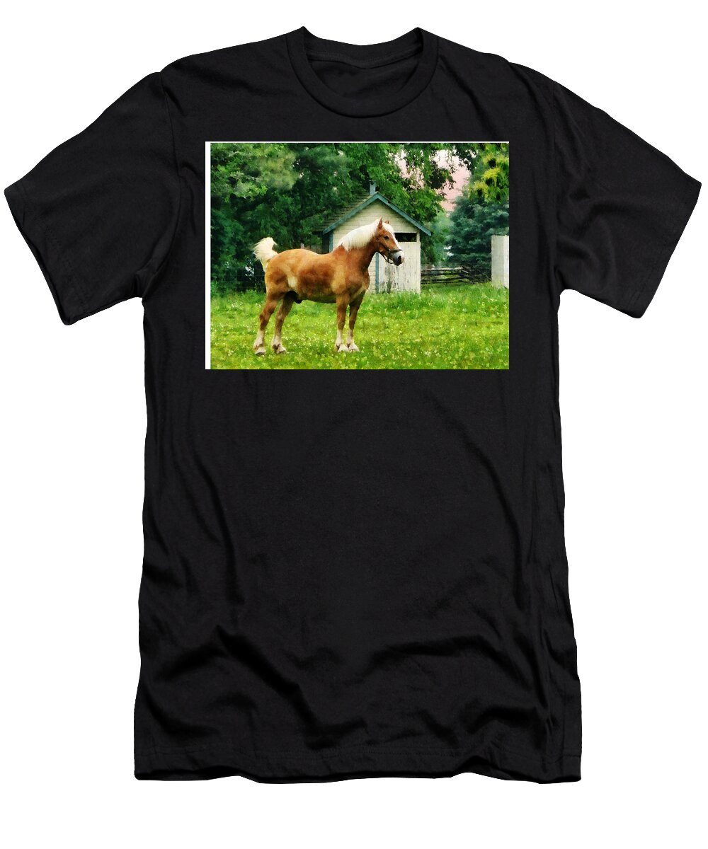 Horse T-Shirt featuring the photograph Palomino in Pasture by Susan Savad