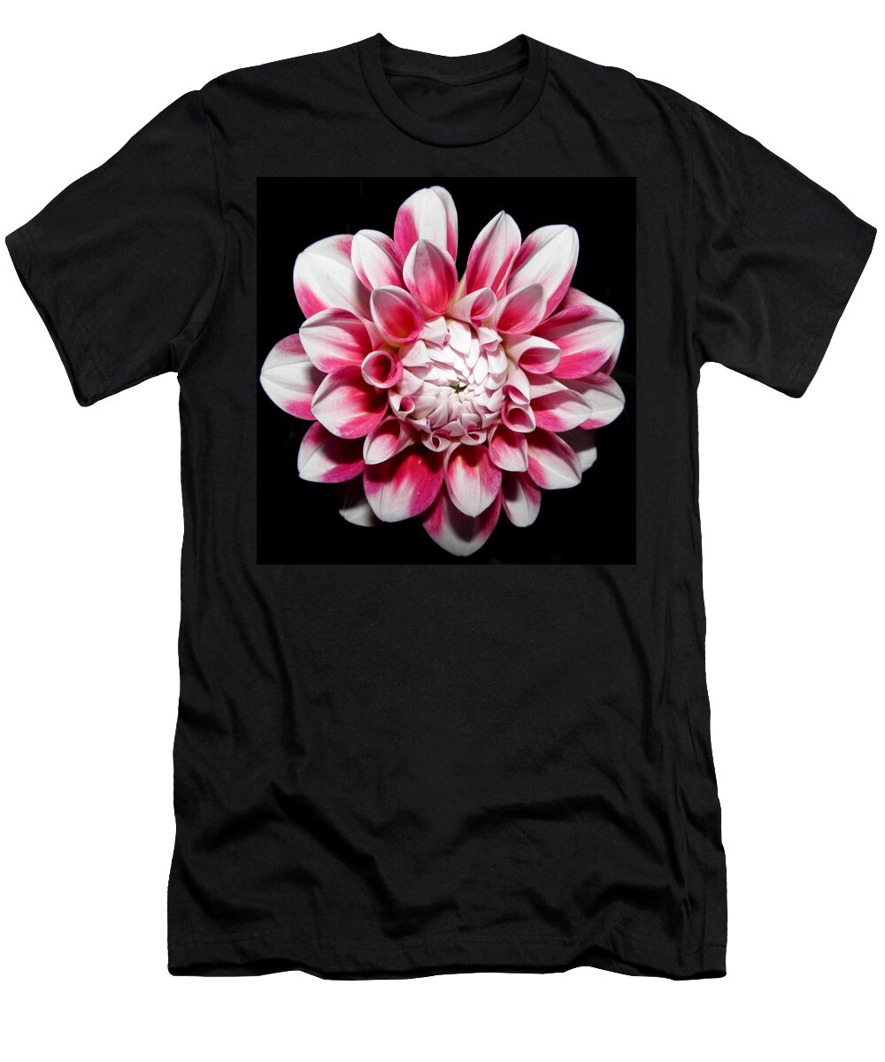 Dahlia T-Shirt featuring the photograph Pedals Of Beauty At Night by Kim Galluzzo