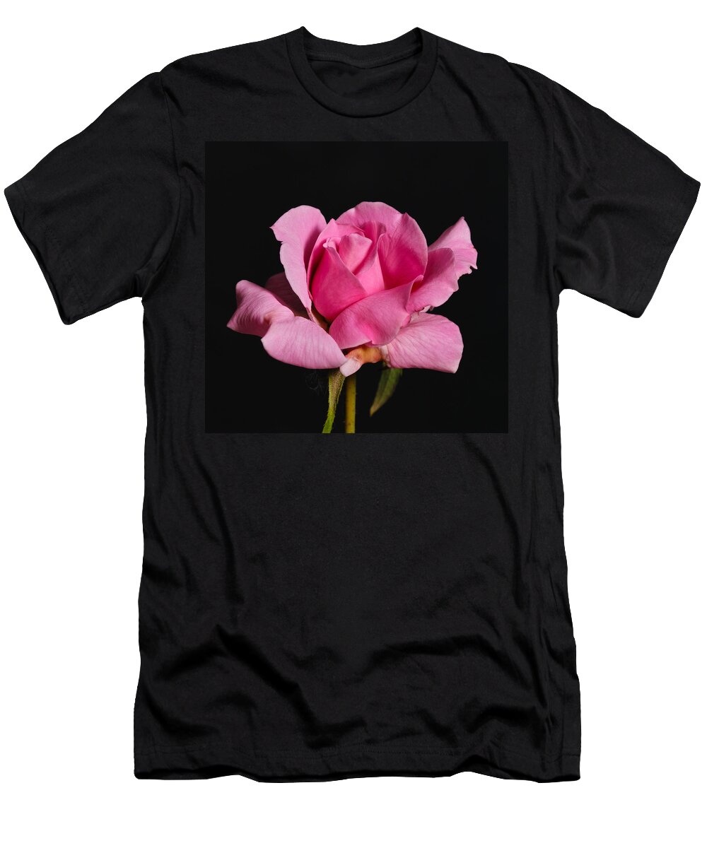 Rose T-Shirt featuring the photograph Pink Tea Rose by Gary Dean Mercer Clark