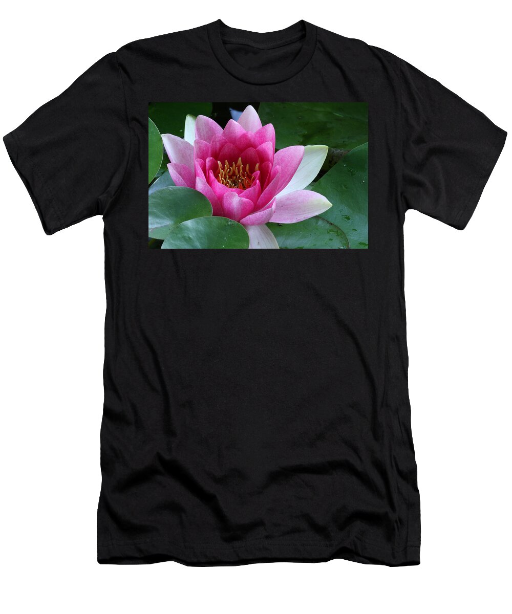 Nymphaea T-Shirt featuring the photograph Pink Water Lily by Daniel Reed