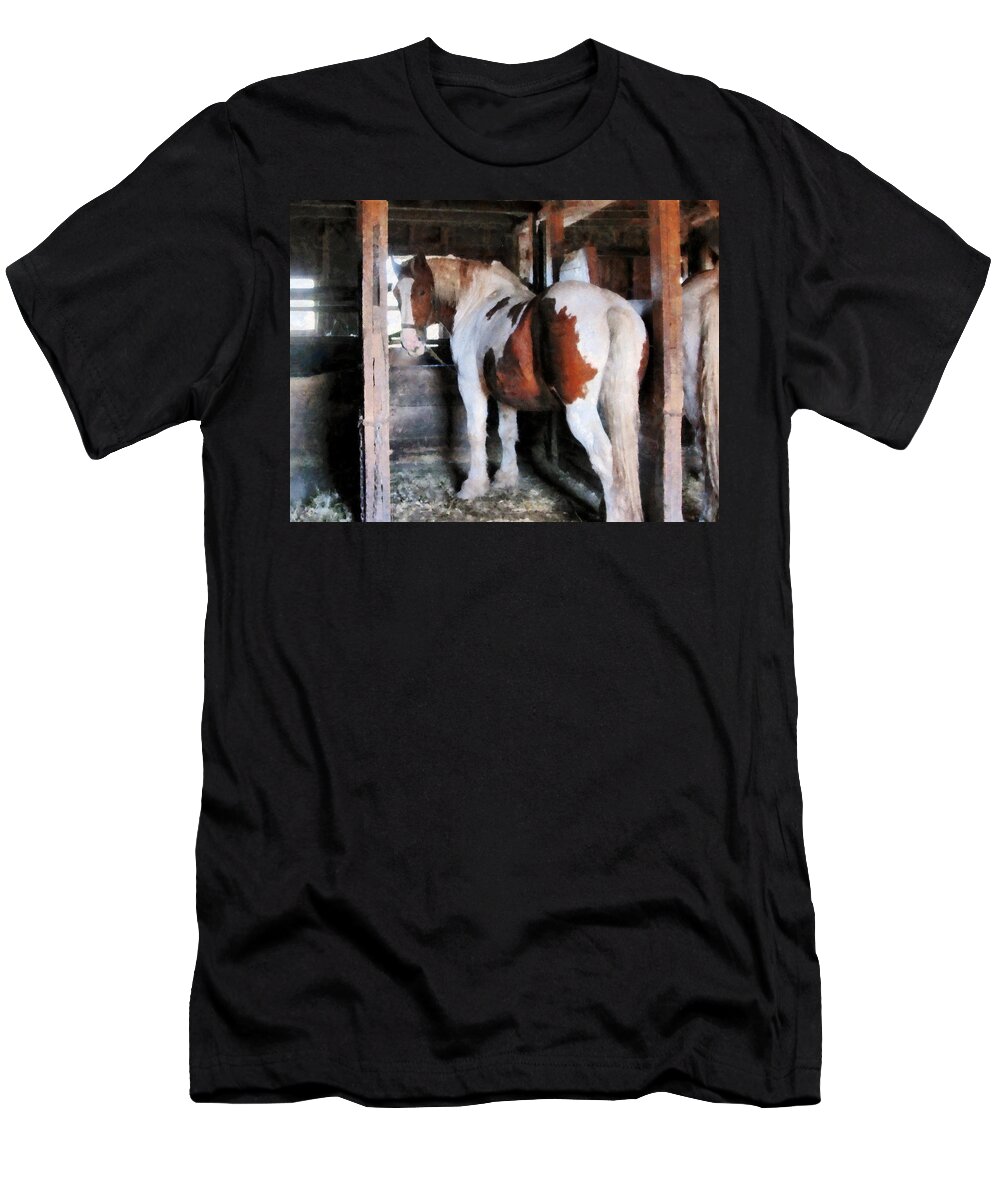 Horse T-Shirt featuring the photograph Pinto Looking Back by Susan Savad