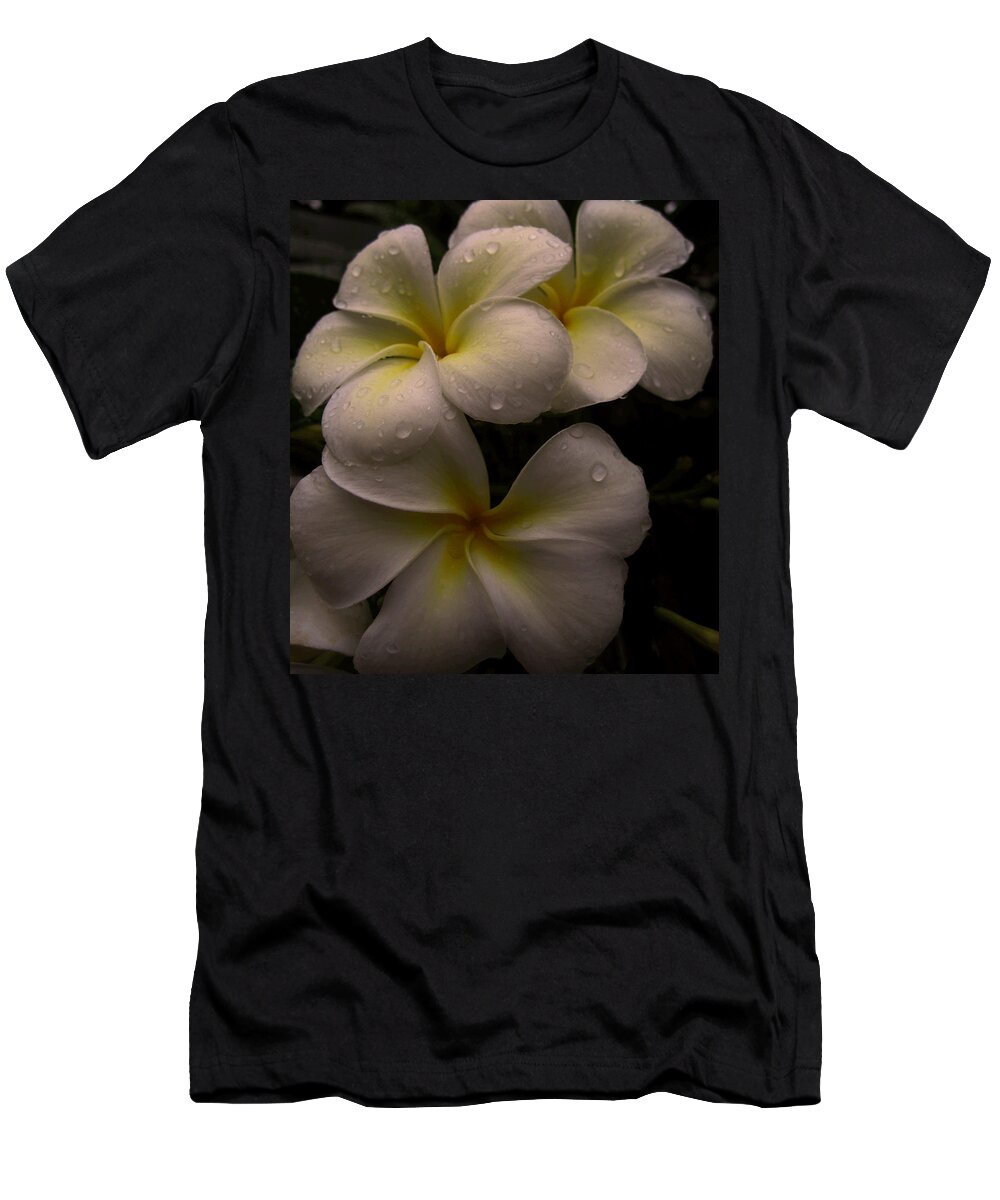Plumeria T-Shirt featuring the photograph Plumeria by Dorothy Cunningham