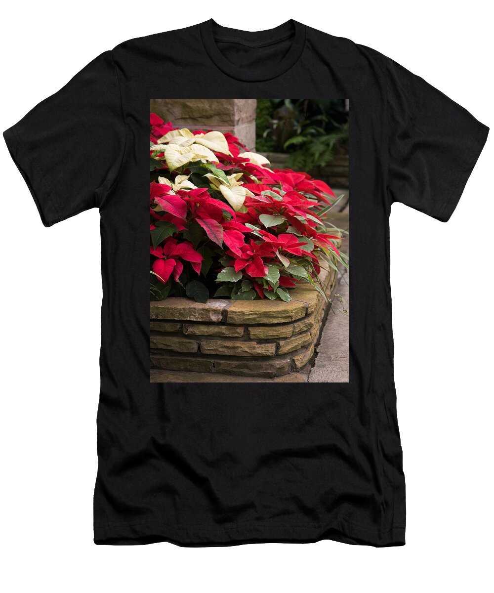 Poinsettia T-Shirt featuring the photograph Poinsettia Garden by Dale Kincaid