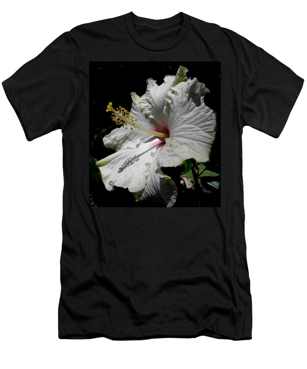Hibiscus T-Shirt featuring the photograph Pointing Towards The Sun by Kim Galluzzo