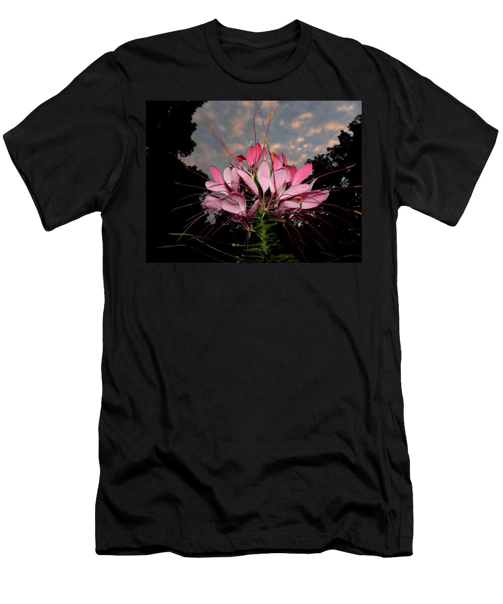 Perennial T-Shirt featuring the photograph Popping In The Sky by Kim Galluzzo