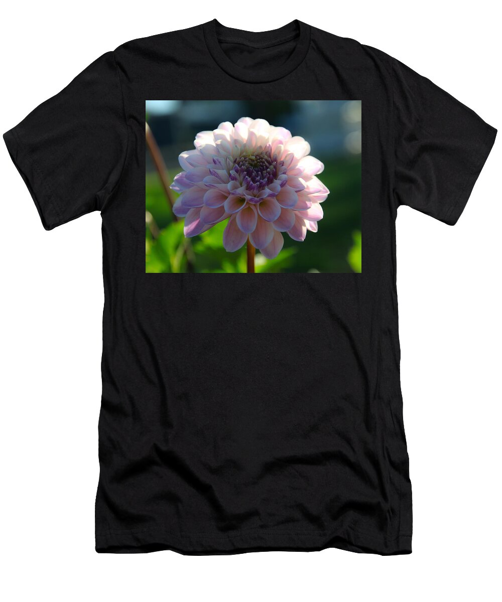 Sunflower T-Shirt featuring the photograph Pretty Flower by Steve McKinzie