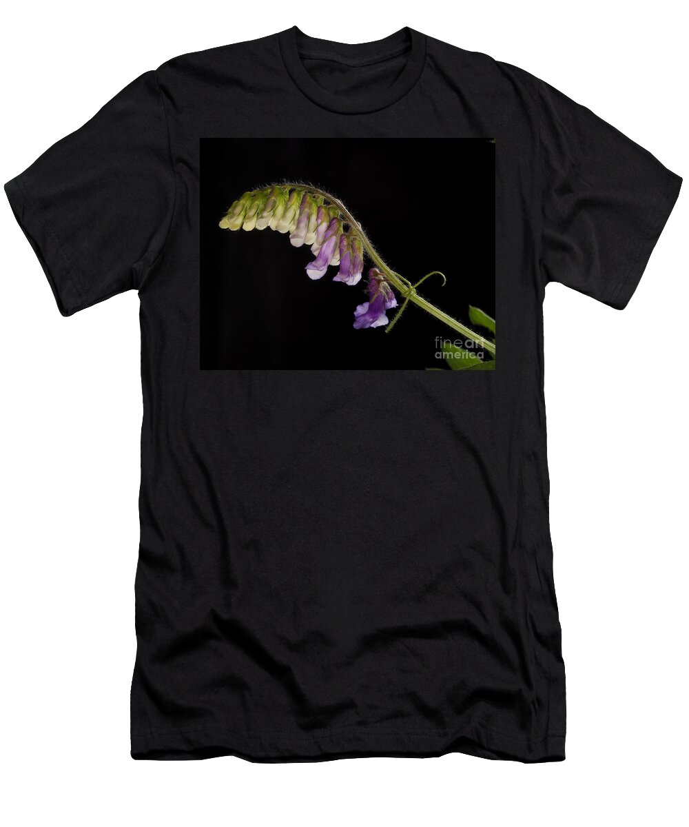 Purple Vetch T-Shirt featuring the photograph Purple Vetch by Art Whitton