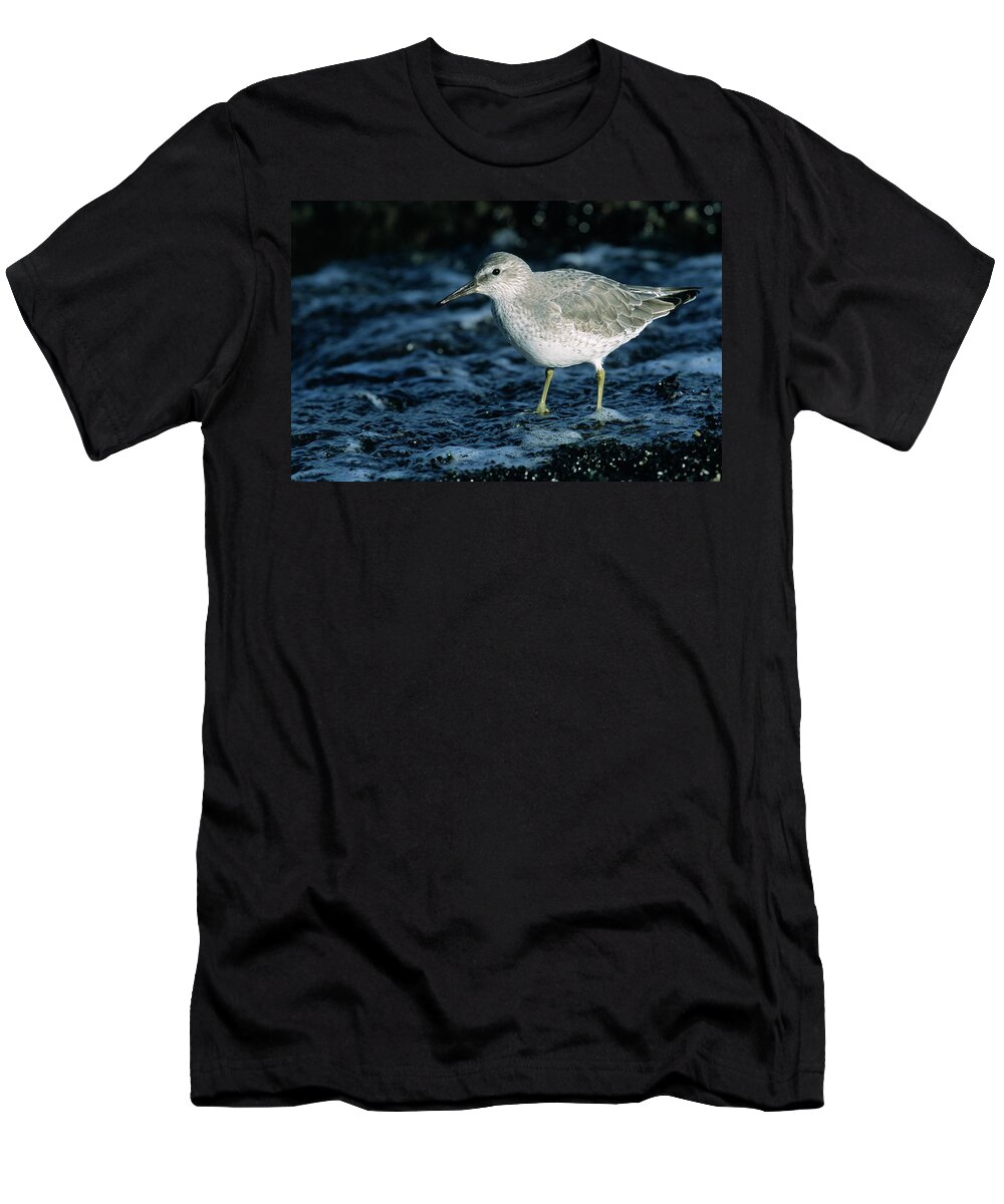Fn T-Shirt featuring the photograph Red Knot Calidris Canutus In Winter by Hans Schouten