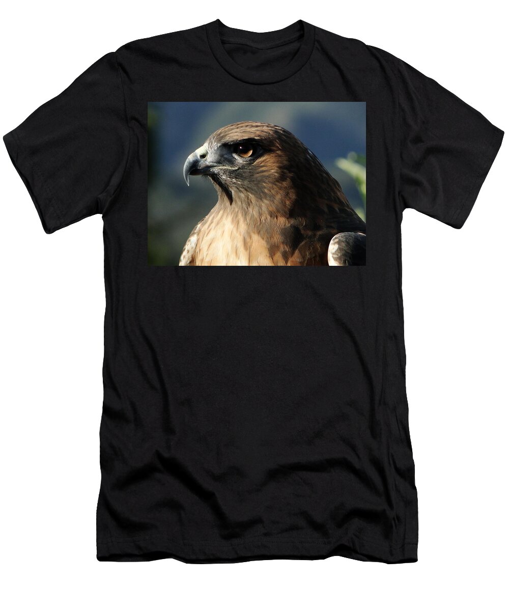 Hawk T-Shirt featuring the photograph Red Shoulder Hawk by Liz Vernand