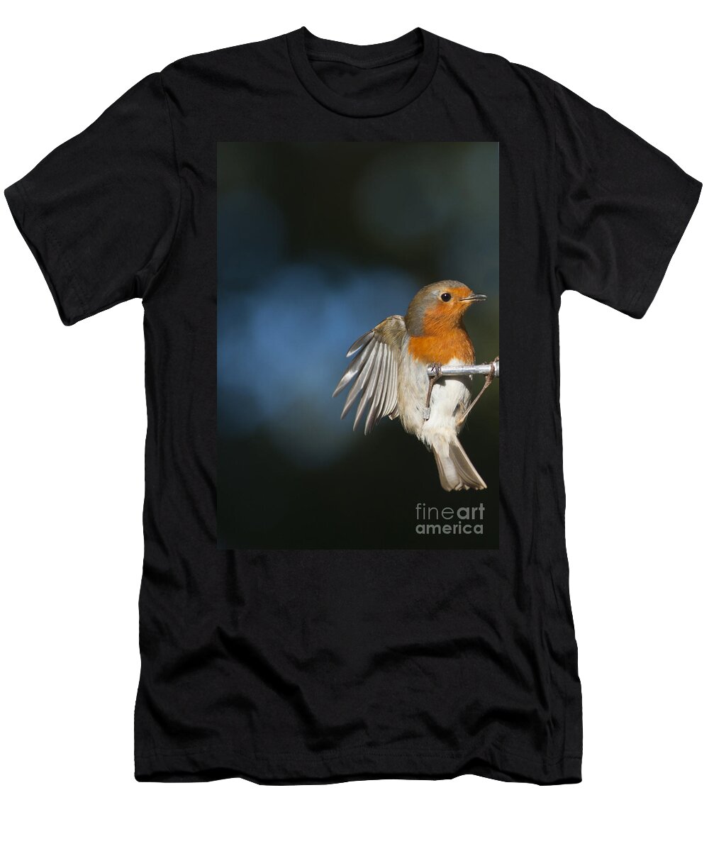 Britain T-Shirt featuring the photograph Robin by Andrew Michael