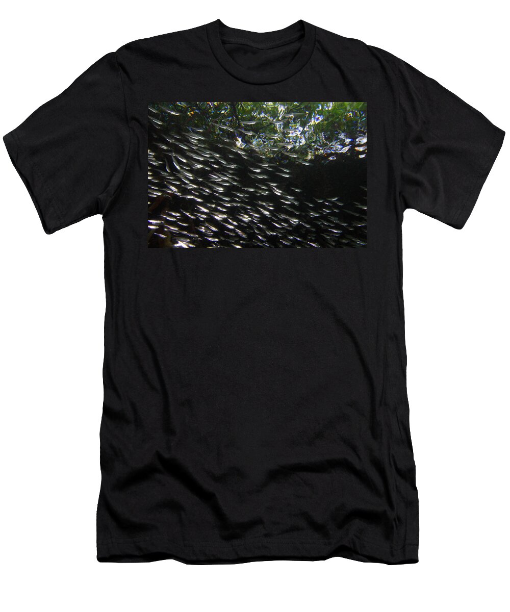 00463207 T-Shirt featuring the photograph Schooling Fish Under Red Mangrove by Christian Ziegler