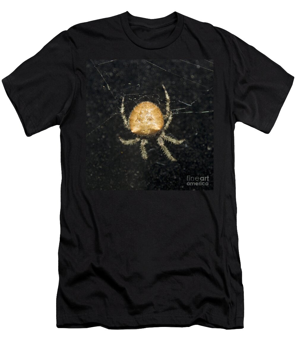 Jewel Spider T-Shirt featuring the photograph September Brilliance by Donna L Munro