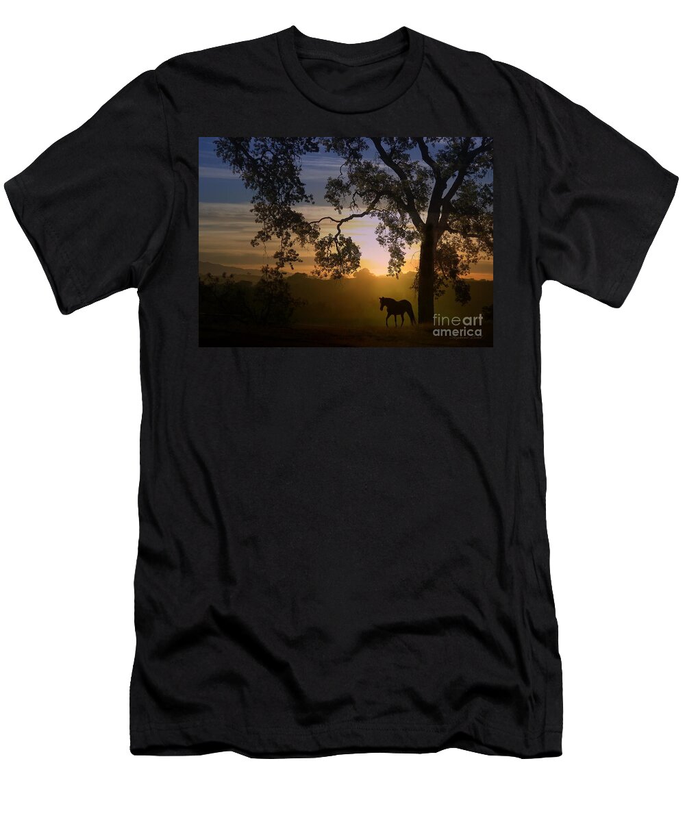 Horse And Oak Tree T-Shirt featuring the photograph Horse and Oak Tree in Golden Sunset by Stephanie Laird