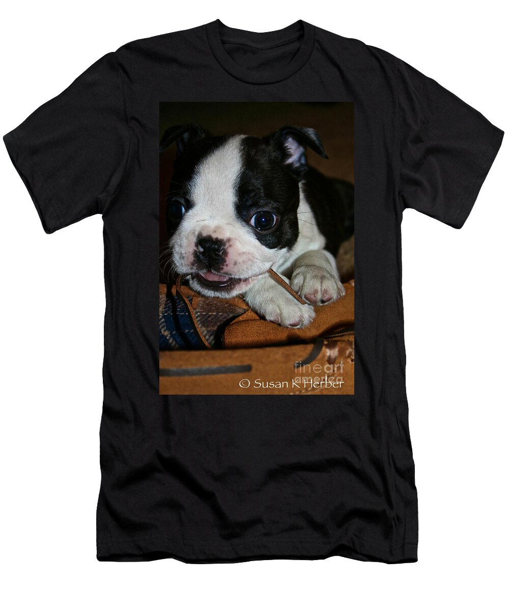 Boston Terrier Puppy T-Shirt featuring the photograph Slipper Thief by Susan Herber
