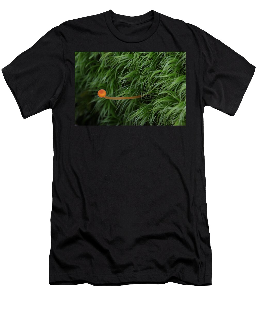Nature T-Shirt featuring the photograph Small Orange Mushroom In Moss by Daniel Reed
