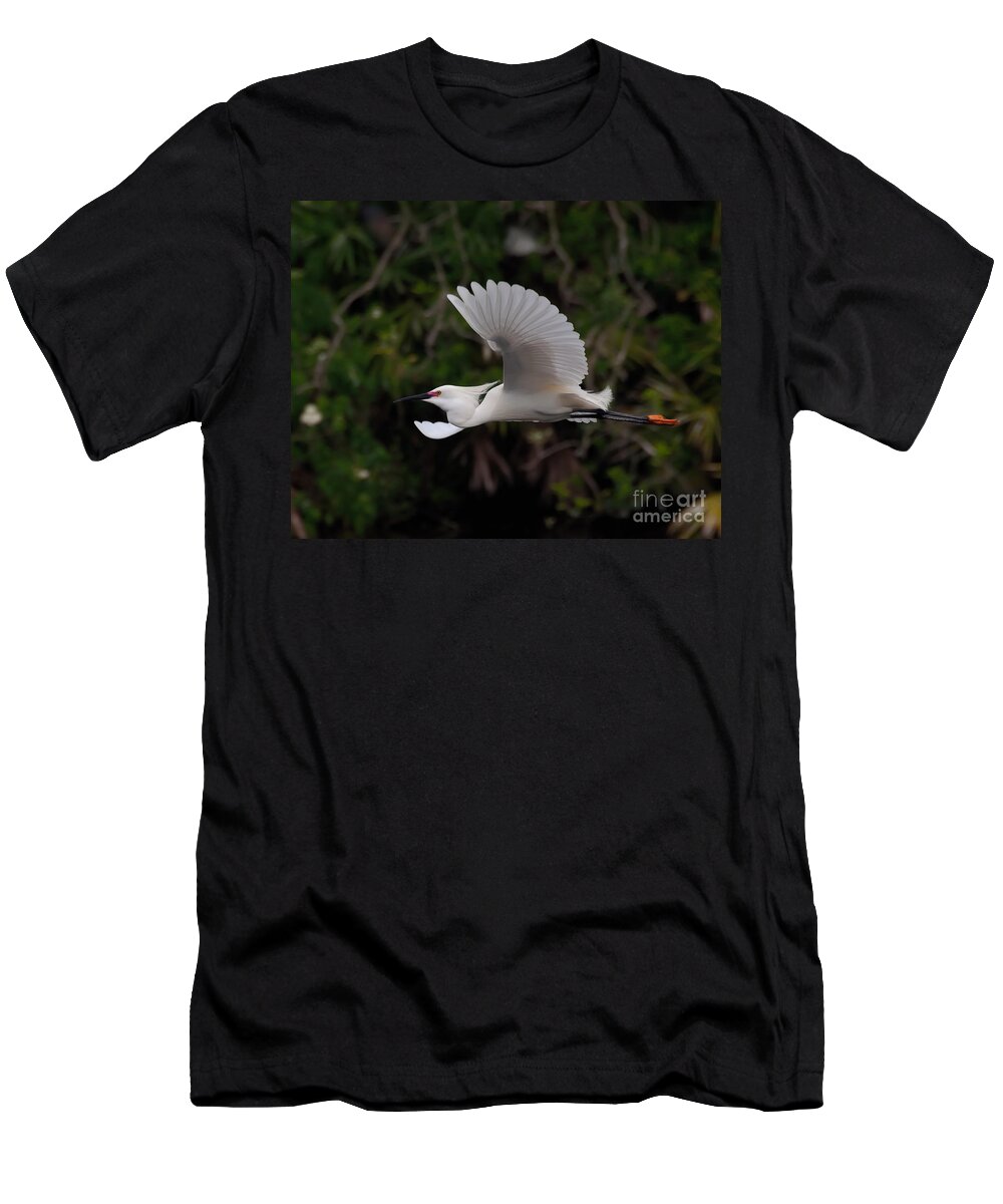 Egret T-Shirt featuring the photograph Snowy Egret in Flight by Art Whitton
