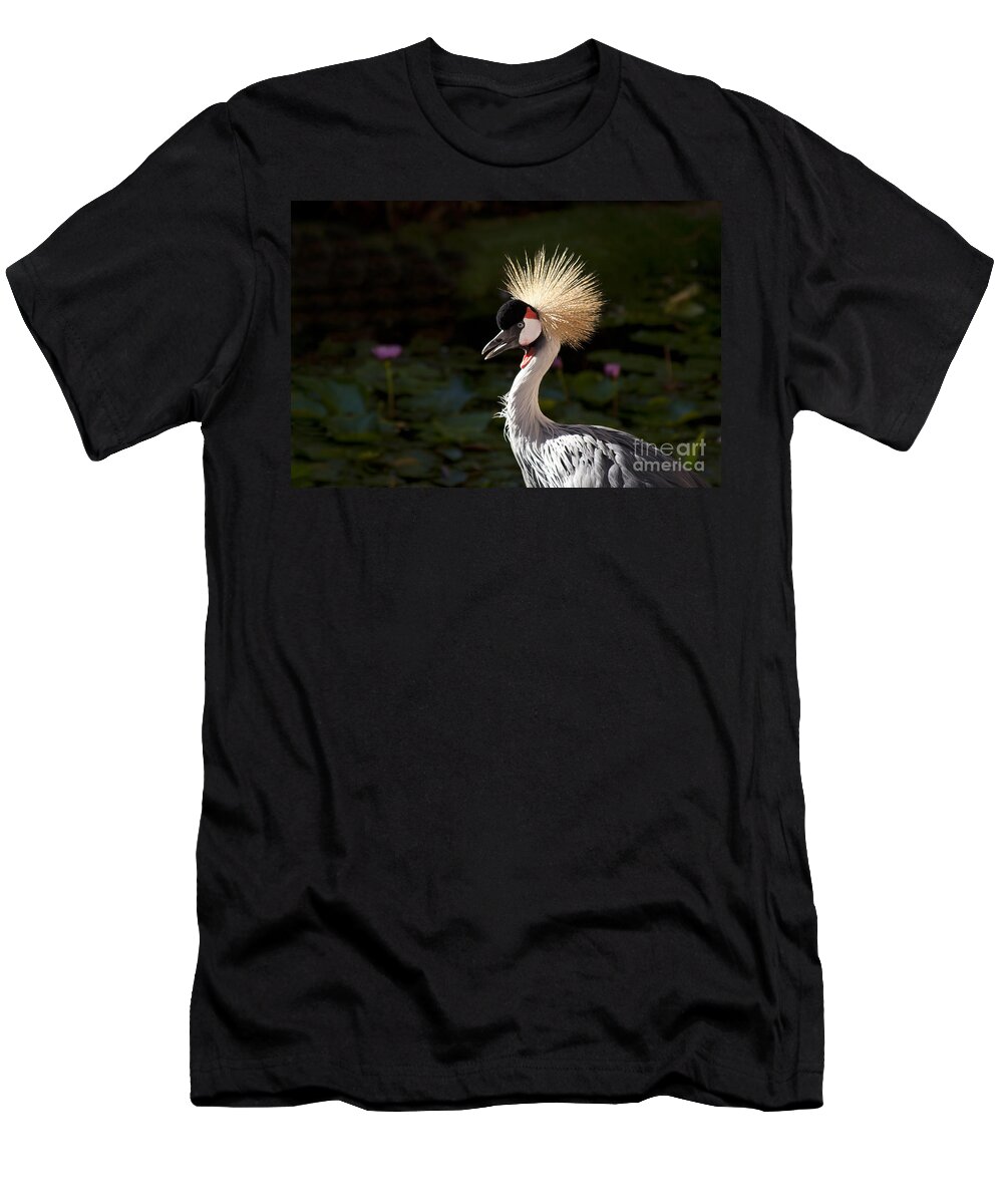 Crowned Crane T-Shirt featuring the photograph South African Grey Crowned Crane by Sharon Mau