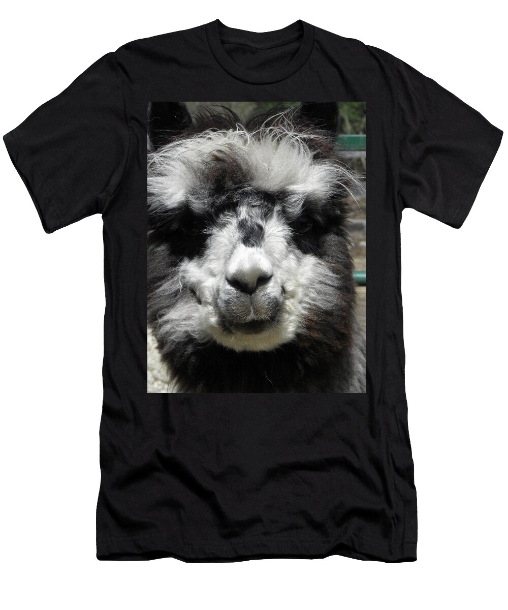 Alpaca T-Shirt featuring the photograph Spikey by Kim Galluzzo Wozniak